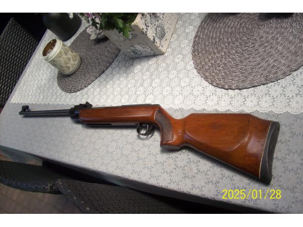 luchtbus diana  model 35